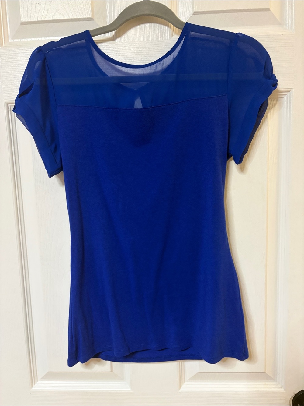 Express Royal Blue Sheer Yoke Short Sleeve Top